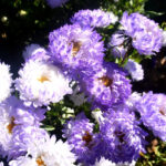 O1CN013QxHh72JkjlbcJlQX__2213216199460_jpg_q50_jpg