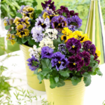 O1CN01ZaY6zU2JkjYhxIs4n__2213216199460_cdf55161-8d7a-4cca-910d-c9287c18ddfa