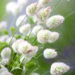 O1CN01OaZLlo2JkjgBYQCwV__2213216199460