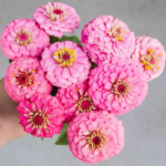 O1CN01rjz72C2JkjlupO8ve__2213216199460_jpg_q50_jpg