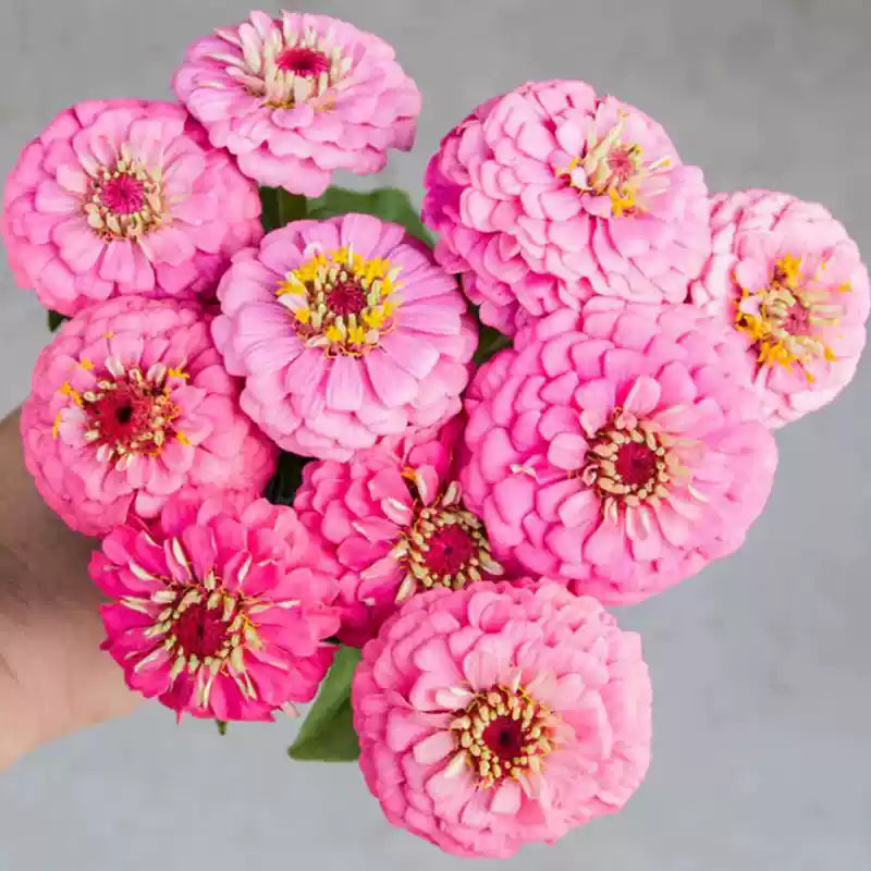 O1CN013JnfYW2JkjZ5IeREn__2213216199460_jpg_q30_jpg