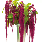 O1CN01aBdB2C2JkjlR93yXR__2213216199460_jpg_q50_jpg