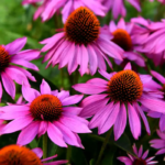 O1CN015f5Pk62BdOJDJ1H7l__2044468361-0-cib