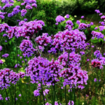 O1CN01w6YDWW2Jkjli1kSrr__2213216199460