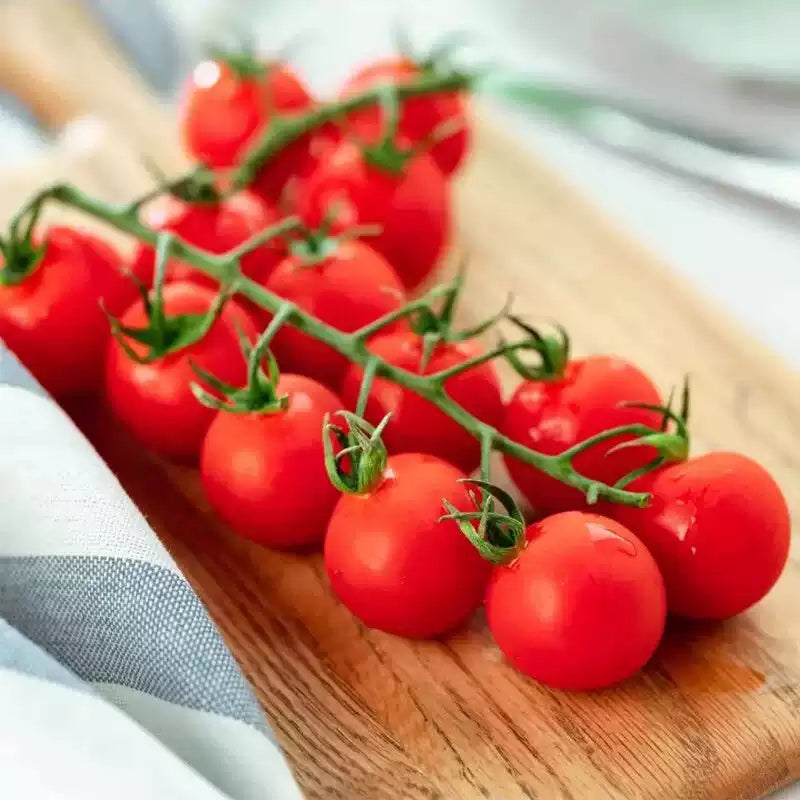 O1CN014a59eo25kpA5DCwoX__813967565_jpg_q50_jpg