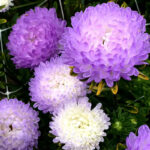 O1CN013QxHh72JkjlbcJlQX__2213216199460_jpg_q50_jpg