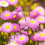 O1CN0144UUwJ2Jkjajh3XzT__2213216199460.jpg_q50.jpg__1