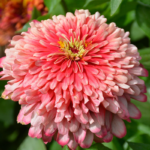 O1CN01XPf6J62BdOFAcQLKW__2044468361-0-cib