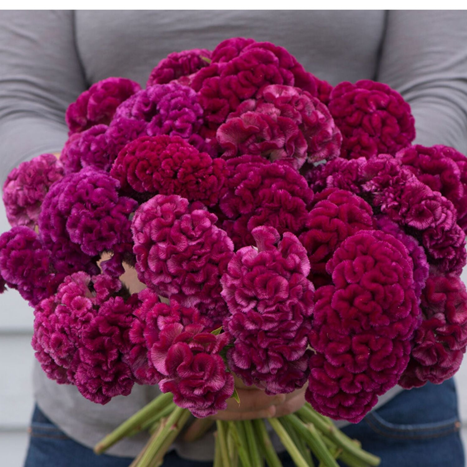 O1CN015PxN4U2JkjYd8P5Ic__2213216199460