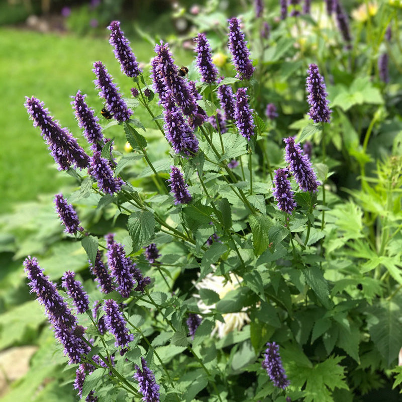 O1CN015fTorm2JkjXoYe9N1__2213216199460