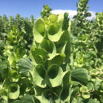 O1CN01D1KqUC2JkjllT4gaQ__2213216199460_jpg_q30_jpg