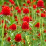 O1CN019cE80F2JkjlVAgSMp__2213216199460_jpg_q30_jpg_cba91eb5-2adc-4a08-80d9-8d084c4b3551