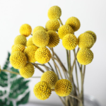 O1CN01gm2c6v2JkjlVcwUbO__2213216199460_jpg_q50_jpg