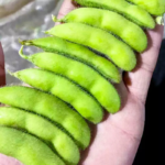 O1CN01TKoUhn1dXiRGuYZZ4__1071273746_jpg_q50_jpg