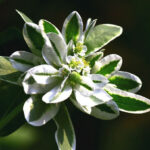 O1CN01dJaUnQ2BdOQAC0hxD__2044468361-0-cib