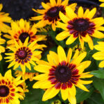 O1CN015oZ3tl2JkjixdEL7F__2213216199460_jpg_q30_jpg