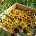 O1CN01sqy6662Jkjln4wQwN__2213216199460_jpg_q30_jpg