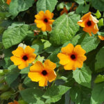 O1CN013Z8jmh2Jkjb5UHuK3__2213216199460