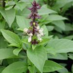 O1CN01lEP5YK2JkjlSv4Jaw__2213216199460_jpg_q50_jpg