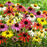 O1CN01aAB6Fr2JkjlyilAcP__2213216199460_jpg_q30_jpg