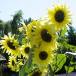 28147_pwyxgvn5jkpoihtv