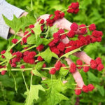 O1CN01diMfoN2Jkjlau1jZX__2213216199460_jpg_q50_jpg