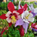 O1CN019yeYru2Jkjlz59qtd__2213216199460_jpg_q50_jpg