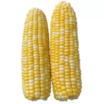 O1CN01dHh5yy1xiWIpa0bfh__3811726477_jpg_q50_jpg