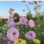 O1CN01St3xc52JkjWzJtGRR__2213216199460