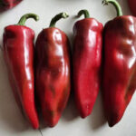 O1CN01t3XrWJ29yL32Arn7D__2210690548136_jpg_q50_jpg