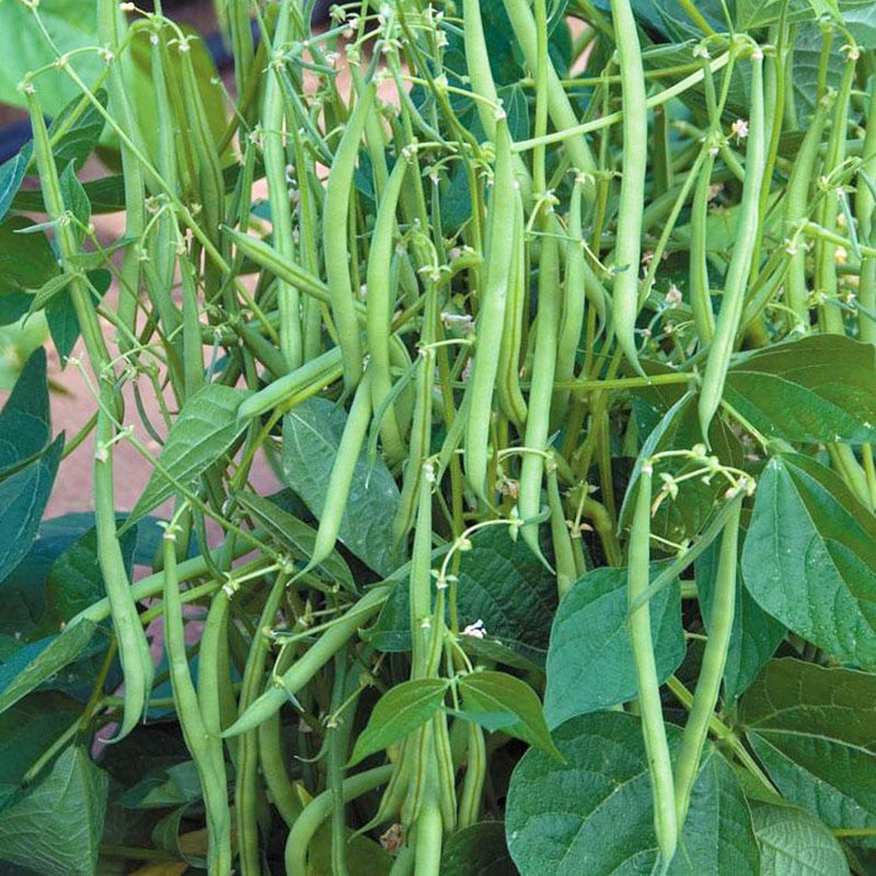 O1CN019R1XtC1nSM0GuZPqH__2215044335088