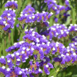 O1CN019XyjGg2BdOL4cYopN__2044468361-0-cib