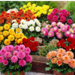 O1CN01ac1Zg12JkjatFz5Ju__2213216199460