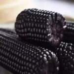 O1CN01jvfuMu1CucmfnRSdk__3037130141_jpg_q50_jpg