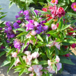 O1CN01yD0FOu2JkjlVhxgUl__2213216199460