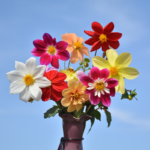 O1CN01r8urJy2BdOJCYFjbA__2044468361-0-cib