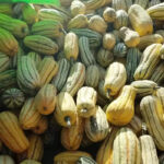 O1CN01c9IAiJ1v50o1xP8Zm__2208359756120_jpg_q50_jpg