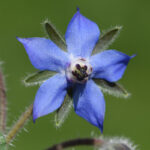 O1CN01t00HwZ2JkjZWWor41__2213216199460