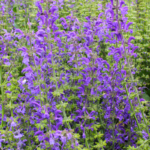 O1CN01Yd56GZ2BdO9Y0Wyty__2044468361-0-cib