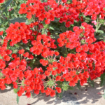 O1CN01Cv6LyX2JkjlVs9n8o__2213216199460_jpg_q30_jpg