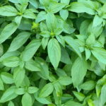 O1CN01yprcKo23IJKxcYn4n__2215685327232_jpg_q50_jpg