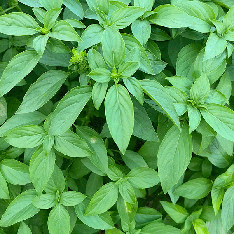 O1CN01C8r3qi23IJKzGH0H3__2215685327232