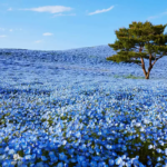 O1CN01tsTCNQ2Jkjm2kFhp4__2213216199460_jpg_q50_jpg