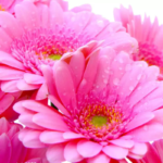 O1CN01dXrrVT1S0mFJ4LCBY__2212827662185_jpg_q50_jpg