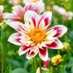 O1CN01CQQXQ72JkjlcmERcE__2213216199460_jpg_q30_jpg