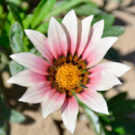 O1CN019APb4A2JkjjVMHWXX__2213216199460