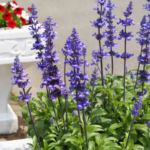 O1CN01XrJxMW1wtgBLlmMvt__753026366_jpg_q50_jpg