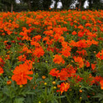 f3237acdf75652c9e87de6bba203dfcb