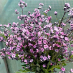 O1CN01pbd5142JkjmC4HxDp__2213216199460_jpg_q50_jpg