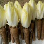 O1CN01uEhtrT2I3Oh40Crnu__2218608059230_jpg_q50_jpg